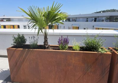 Neukonzeption und Realisierung | Hornberg GaLaBau - Niklas Hornberg