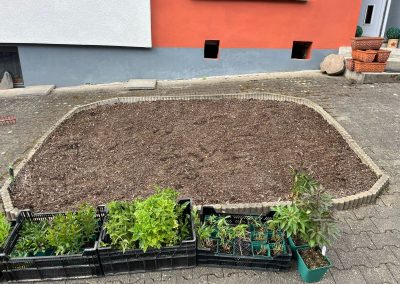 Beetumgestaltung (vorher) | Hornberg GaLaBau - Niklas Hornberg