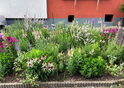 Beetumgestaltung (nachher) | Hornberg GaLaBau - Niklas Hornberg